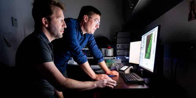 Oral and Craniofacial Science Program